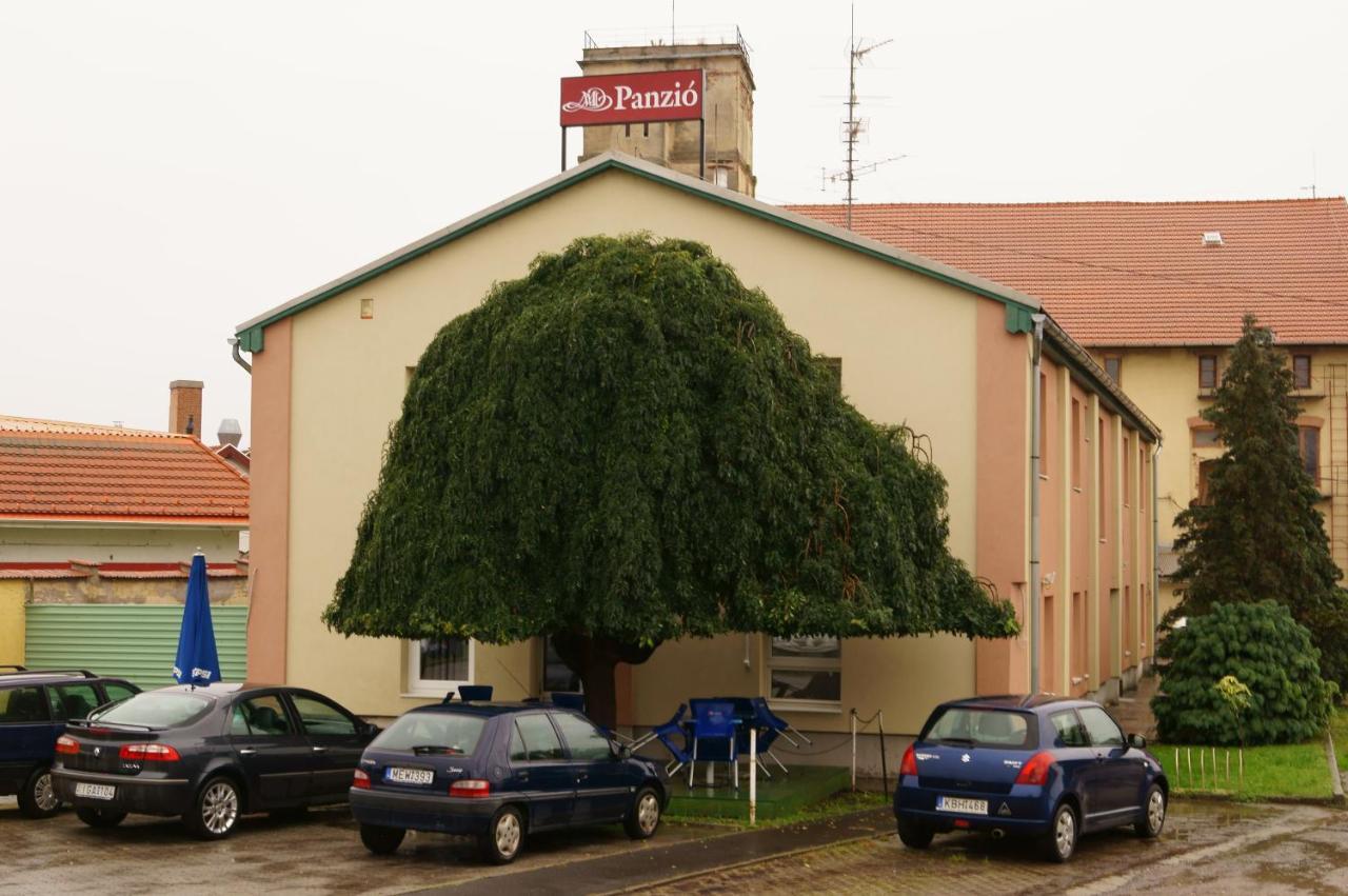 Malomudvar Etterem Cukraszda Panzio Es Rendezvenyhaz Gyöngyös Exterior foto